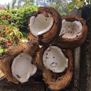 Meet your Posher, Roberto